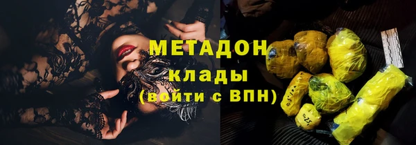 шишки Арсеньев