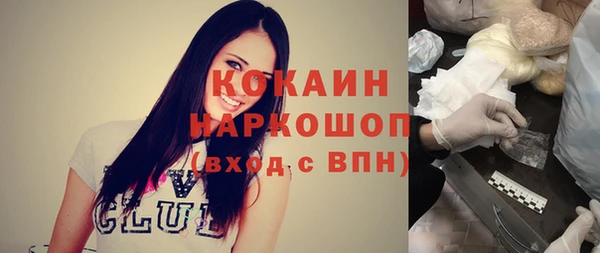 шишки Арсеньев
