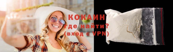 шишки Арсеньев