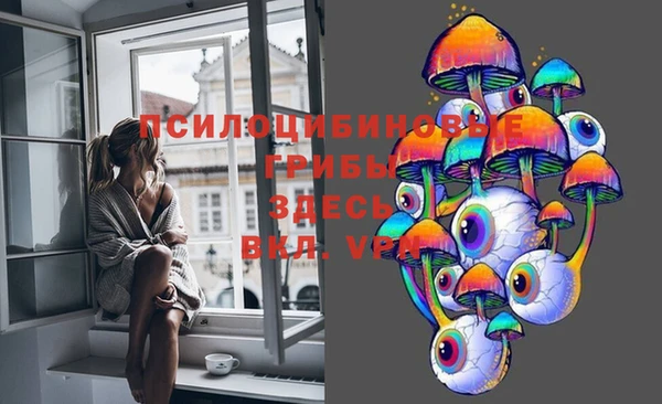 гашик Армянск