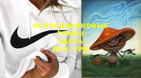 шишки Арсеньев