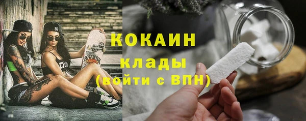 шишки Арсеньев