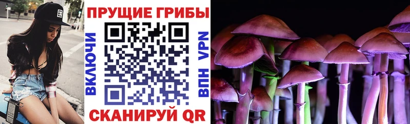 Купить закладки  Тында  Галлюциногенные грибы Cubensis 